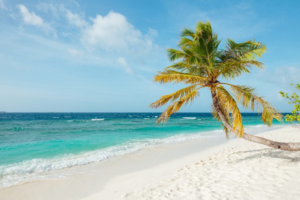 The Best Seasons for Crewed Charter Vacation in the Bahamas