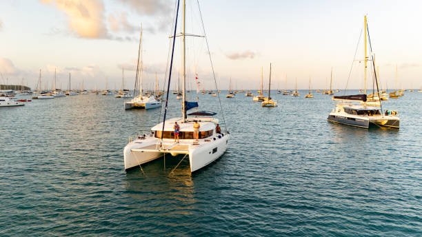 Luxury Catamaran Charters for Special Occasions