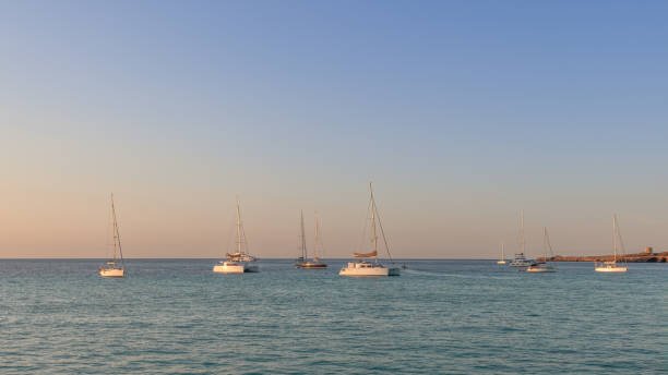 Why Luxury Catamarans Are Perfect for Families and Groups