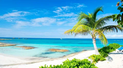 The Best Seasons for Crewed Charter Vacation in the Bahamas